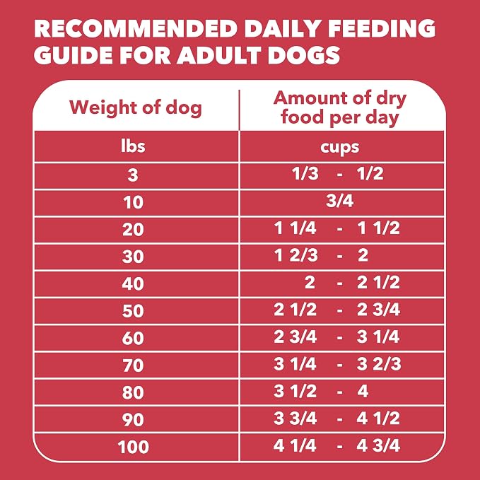 IAMS Proactive Health Minichunks Dry Dog Food, Lamb & Rice, 15 lb | Real Lamb #1 Ingredient, Omega-6 Fatty Acids for Skin & Coat, Natural Fiber & Prebiotics, No Fillers or Artificial Flavors