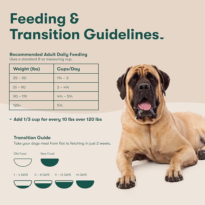 Jinx Dry Dog Food, Large Breed - Beef, Brown Rice & Sweet Potato, 11.5lb | Premium Large Breed Kibble with Antioxidants for Joint Health, Mobility & Immune Support - No Fillers