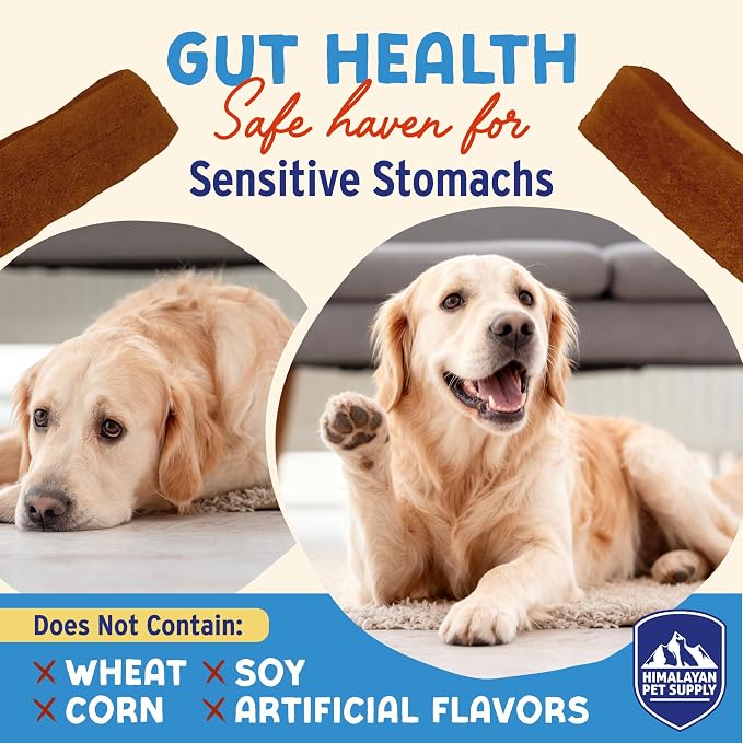 Himalayan Dog Chew Yogurt Sticks, Probiotic Dog Treats, Pumpkin, 5 Treats | Dog Chews With Prebiotics, Probiotics & Protein, Digestive Support, Lactose & Gluten Free, Natural Dog Treats for All Breeds