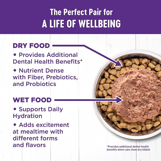 Wellness Complete Health Kitten Dry Cat Food, Natural, Wholesome Grains Kibble, Turkey, Turkey Meal and Chicken Recipe, 5 lb Bag