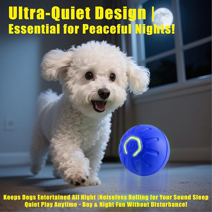 BIONEMAGILI Interactive Self-Moving Pet Toy Ball - Motion-Activated Auto Rolling, Military-Grade Chew Resistant, USB-C Rechargeable for Small Dogs & Cats (Orange/S/New3)