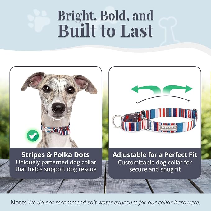 Lucky Love Dog Martingale Collar for Medium Dogs No Slip – Linus, Medium