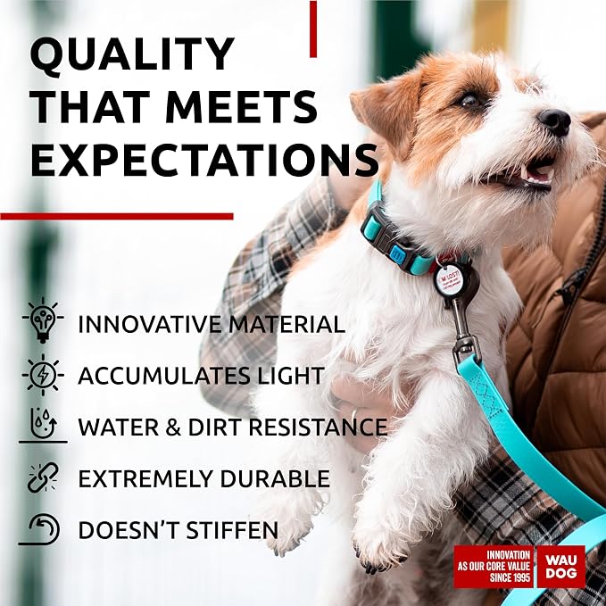 WAUDOG Waterproof Dog Collar Airtag Holder QR Tag Small Medium Large Dogs | Water and Dirt Resistant, Quick Dry QR Pet Tag Adjustable Durable Comfort for Male and Female Dogs Outdoor Walking Training