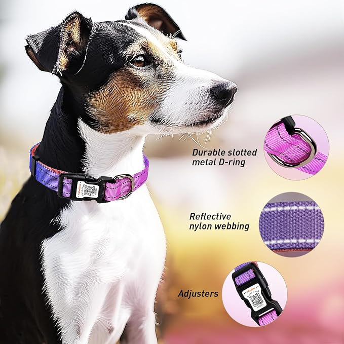 Personalized Dog Collar with QR Code Dog Tag, Blue&Rose Red XS | Anti-lost, 1000D nylon, reflective, padded, XS-L(8"-24"), QR buckle shares lost pet profile, location alerts when scanned