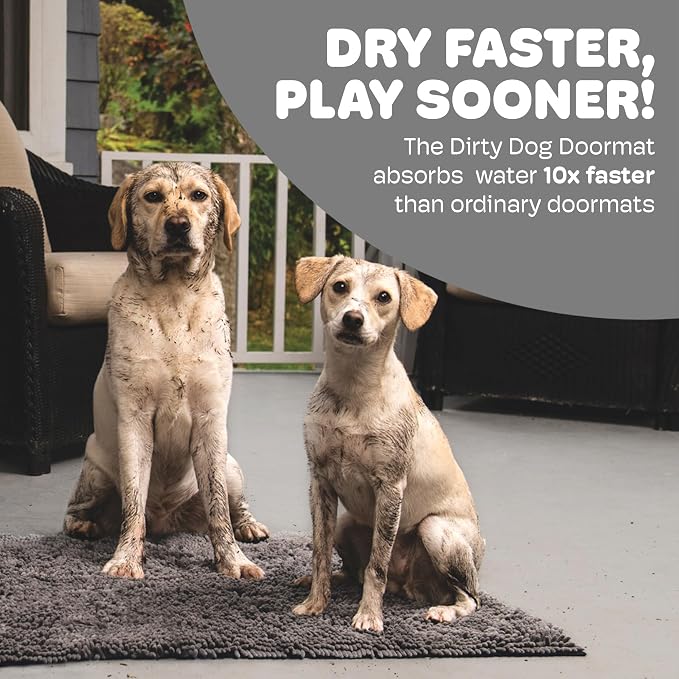 Dog Gone Smart Dirty Dog Doormat - Super Absorbent Polyamide Rug Pulls in Moisture & Dirt - Fast Drying for Clean Floors, Non-Slip, Machine Washable Mat for Muddy Paws - Grey, 23 x 16 Inches