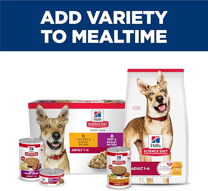Hill's Science Diet Adult 1-6 Wet Dog Food | #1 Veterinarian Recommended, Chicken & Barley, 13 oz. Cans, 12-Pack