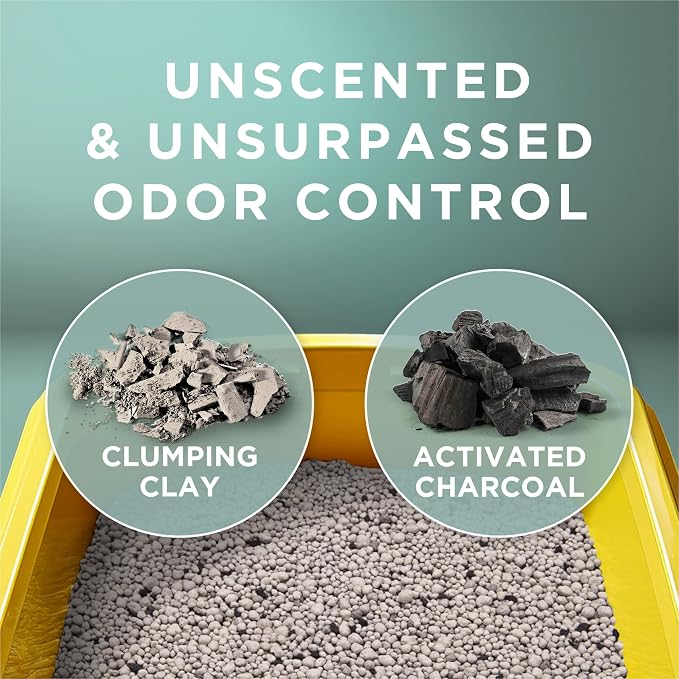Purina Tidy Cats Free and Clean Unscented Clumping Cat Litter, 16 lb Bag | Activated charcoal formula delivers powerful odor absorption in an easy-pour design