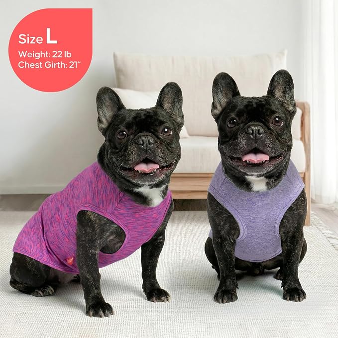 KYEESE 2Pack Dog Shirt for Small Dogs Sun Protection Tank Top for Summer | Reflective for Safety, Lightweight & Breathable, Shedding Control, Skin-Friendly for Sensitive Dogs, Easy On/Off, Quick Dry