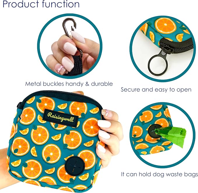Raisingwell Dog Treat Pouch for Pet Walking and Training with Clicker Poop Bags Small Fanny Zipper Pack Holder for Puppy Snack Dispenser Kit for Leash and Outdoor Use (Fruit Orange)
