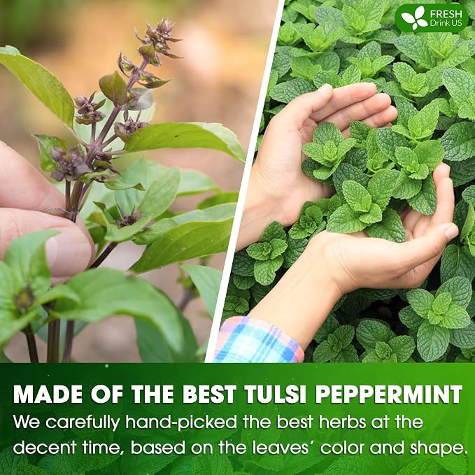 FreshDrinkUS, Premium Tulsi Peppermint Herbal Tea – 55 Tea Bags, 100% Natural, Blend of Tulsi Holy Basil Leaves, and Peppermint Leaves. Made with Natural Material Tea Bags. No Sugar, Vegan.