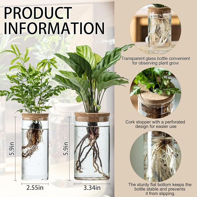 Propagation Vases for Plants, Set of 8(4 Large & 4 Small) Glass Plant Propagation Stations, Plant Propagation Jars for Home Office Windowsill Tabletop Decoration (8)