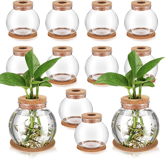 12 Packs Propagation Vases for Plants Plastic Plant Propagation Station with Hole Lid and Cork Coasters Plant Growing in Water Hydroponic Home Office Table Decoration(Fish Bowl Style)