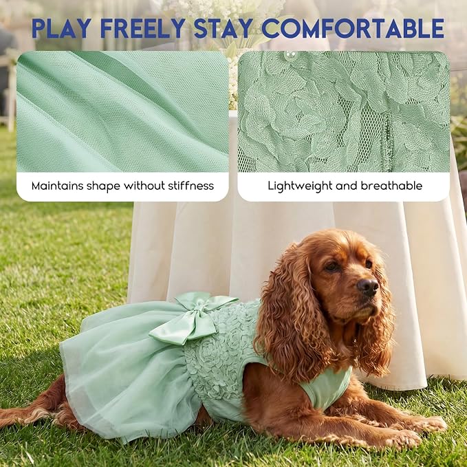 ASENKU Small Dog Dress Pet Wedding Dress Princess Lace Puppy Birthday Party Outfit Formal Apparel Girl for Only Small Medium Dogs Cats (Large, Green) | Dog Flower Girl Dress With Leash Hole, Princess Puppy Dress For Weddings, Daily Wear, Fits Small Med...