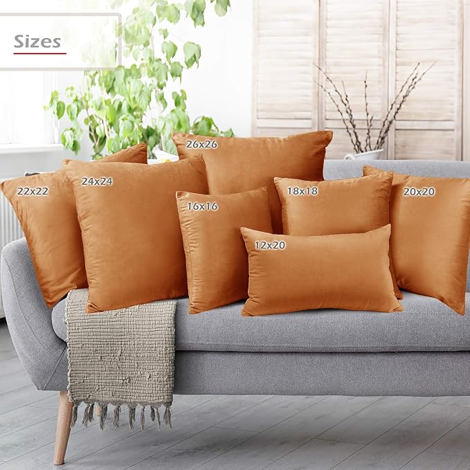 Throw Pillow Inserts Pack of 2 with Velvet Soft Solid Decorative Square Throw Pillow Covers Set for Sofa Couch Car Bedroom, 18X18 Throw Pillows Inserts with 16x16 Washable Cushion Covers, Rust Brown