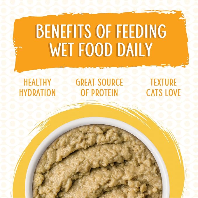 Weruva Wet Cat Food, The Slice is Right with Wild Caught Salmon Pate, 5.5oz Slide N Serve Pouch, Pack of 12