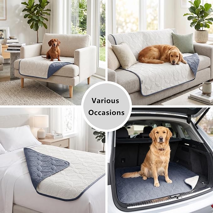 Waterproof Couch Cover for Dogs - Washable Pets Furniture Protector | TPU Leak-Proof Liner, Lightweight & Reversible, Fits Chair, Sofa, Bed, 82" x 102" , Blue/Cream