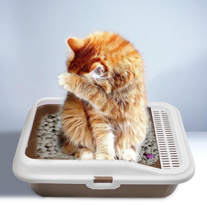 Milisten Cat Litter Box with Scoop Splash-Proof Kitten Litter Pan Medium Square Plastic Cat Toilet and Pet Housebreaking