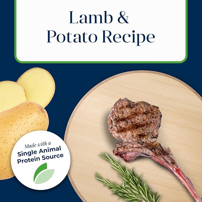 Blue Buffalo Basics Lamb Adult Grain-Free Wet Dog Food, 12.5 oz, 12 ct | Skin & Stomach Care, Real Lamb #1 Ingredient, Limited Ingredient Diet, Antioxidant-Rich LifeSource Bits, Skin & Coat Health