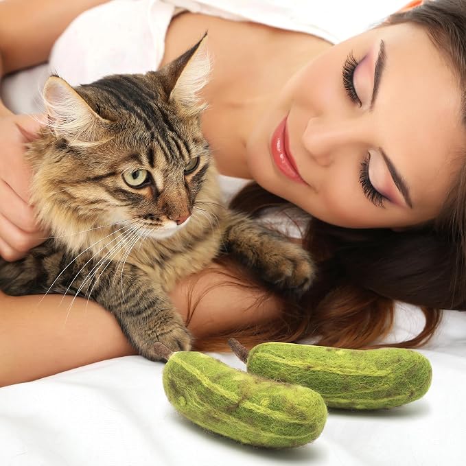 Glaciart One Cat Toy Pickle – 2 Pcs | Soft Fuzzy Enrichment 100% Natural Wool - Interactive Catnip Play Cat Toy Set - Safe for Pets, Non-AZO Colored Dyes