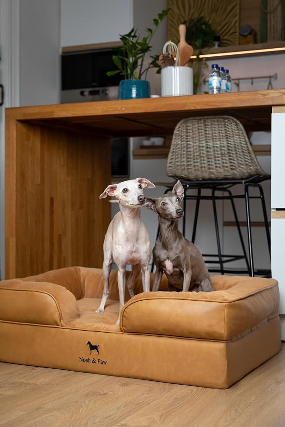 NOAH & PAW Large Dog Bed, 35x25x11 Inch, Orthopedic Dog Beds, Eggshell Memory Foam Infused with Cooling Gel, Inner Cover, Water Resistant, Machine Washable (Faux Leather)