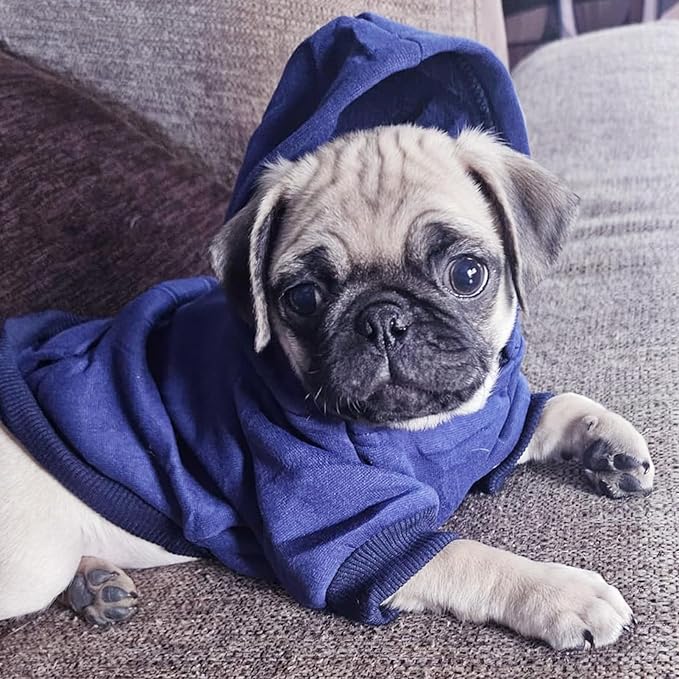 Soft Dog Hoodies for Small Dogs, Warm Fleece Puppy Clothes with Pocket | Jecikelon cold weather coat, cute puppy costume, breathable sweatshirt for dogs girl & boy, machine washable, easy on & off