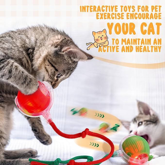 WinnerWhy 6 Pack Interactive Cat Ball Toy 360° Automatic New Interactive Rolling Ball Rechargeable Gifts for Cat Dog Lovers Indoor Exercise Electric Self Rolling Toy Large and Small Puppy Kitten Bulk