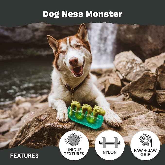 BarkBox Dogness Monster Super Chewer - Toy for Medium and Large Dogs | Durable Dog Toy for Aggressive Chewers - Dental Stimulating Chew