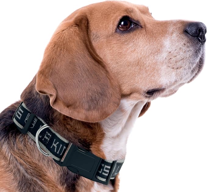 Pets First NHL Collar for Dogs & Cats. Adjustable, Cute, & Stylish! The Ultimate Hockey Fan Collar!