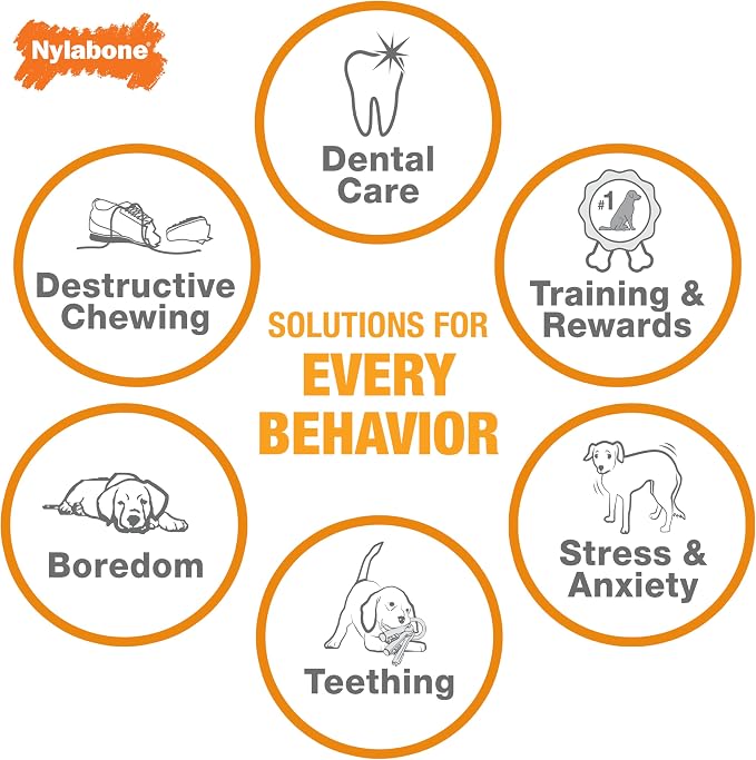 Nylabone Strong Chew Rubber Stuffable Cone Treat Toy, Bacon Flavor, Medium | Durable rubber dog toys, long lasting, durable material, encourages healthy chewing, helps clean teeth, for dogs up to 35 lbs