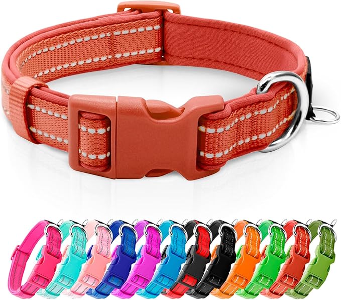 azuza Reflective Dog Collar, Neoprene Padded Small Dog Collar, Rust Red, S