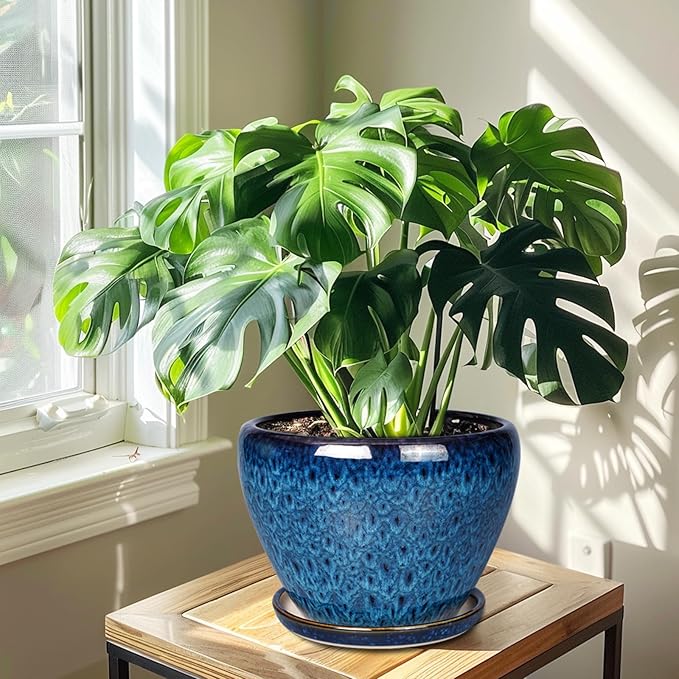 Ceramicfor 10 Inch Ceramic Planter Pot, Ceramic Plant Pot for Indoor Outdoor Plants, Large Flower Pot with Drainage Hole and Saucer, Blue