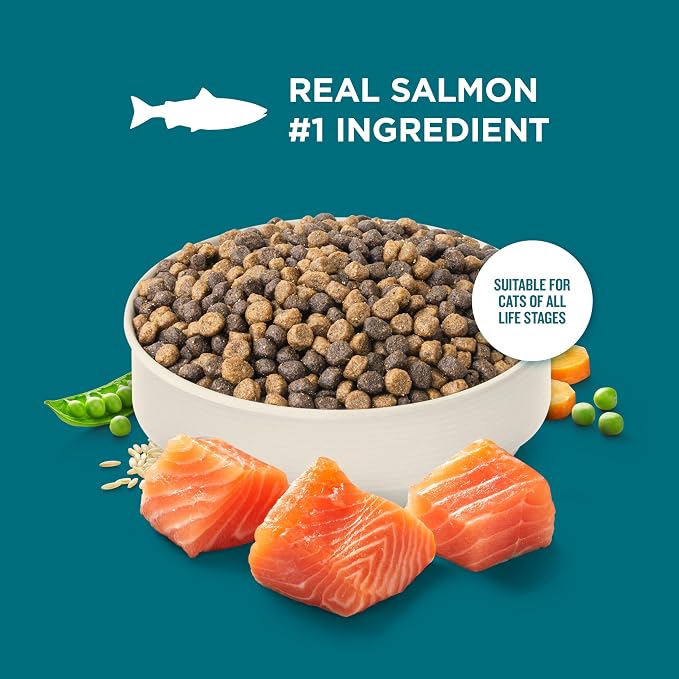 Nutrish Dry Cat Food, Salmon & Brown Rice Recipe, 5 lb. Bag (Rachael Ray) | Suitable for Cats of All Life Stages, No Artificial Flavors, Nature Food with Added Vitamins, Minerals & Nutrients