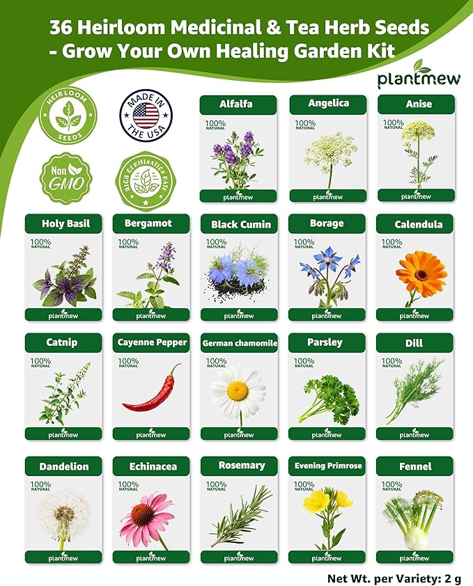 Medicinal Herb Seeds Variety Pack - 36 Non-GMO Herbal Tea Garden Seeds: Chamomile, Lavender, Echinacea, Yarrow, Mugwort for Planting Indoor & Outdoor, Apothecary & Homesteading Supplies