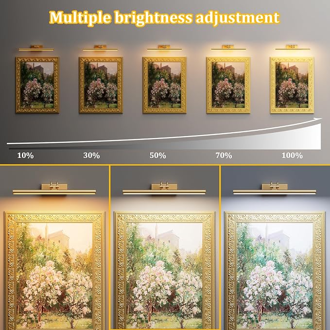 13.8'' Battery Operated Picture Light for Wall, Remote Control | 4000mAh Cordless,Gold Wall Light, Magnetic for Easy to Charge,Timers, Display for Gallery Living Room Bedroom