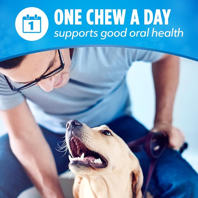 Dentalife Purina Daily Oral Care Dental Dog Treats for Large Dogs, 30 ct | Large dogs 40+ lbs, chicken-flavored dental chews freshen breath and fight tartar buildup, crafted in USA facilities