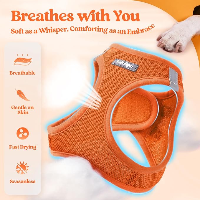 rabbitgoo Dog Harness Medium Sized and Leash Set, Step-in Puppy Pet Vest | Light, Soft, Breathable Air Mesh, Easy on and Remove with Hook & Loop, Secure Reflective for Walking, Orange L