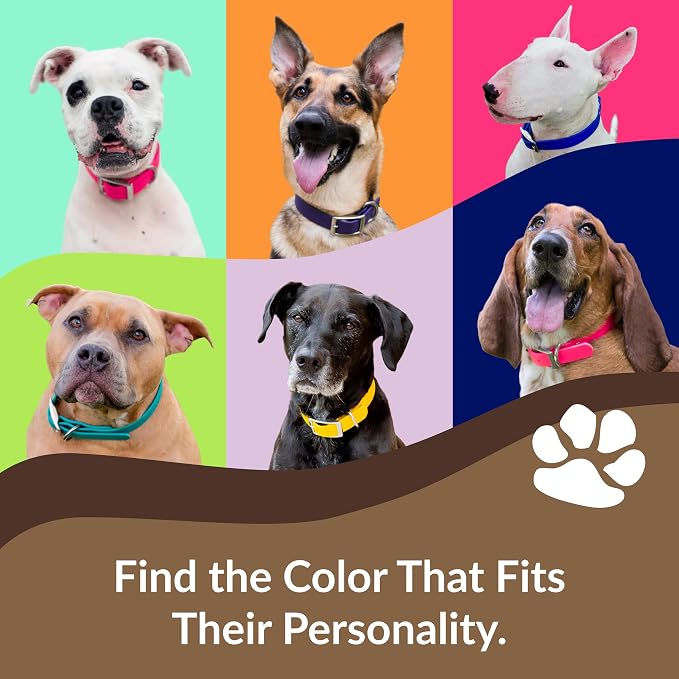 dogIDs Personalized Dog Collar – ScruffTag Custom Waterproof Biothane Dog Collar with Laser-Engraved Name, Durable & Odor-Resistant – USA Made | Brown, 3/4 in x 14 in (Fits Neck Sizes 12-16 in)