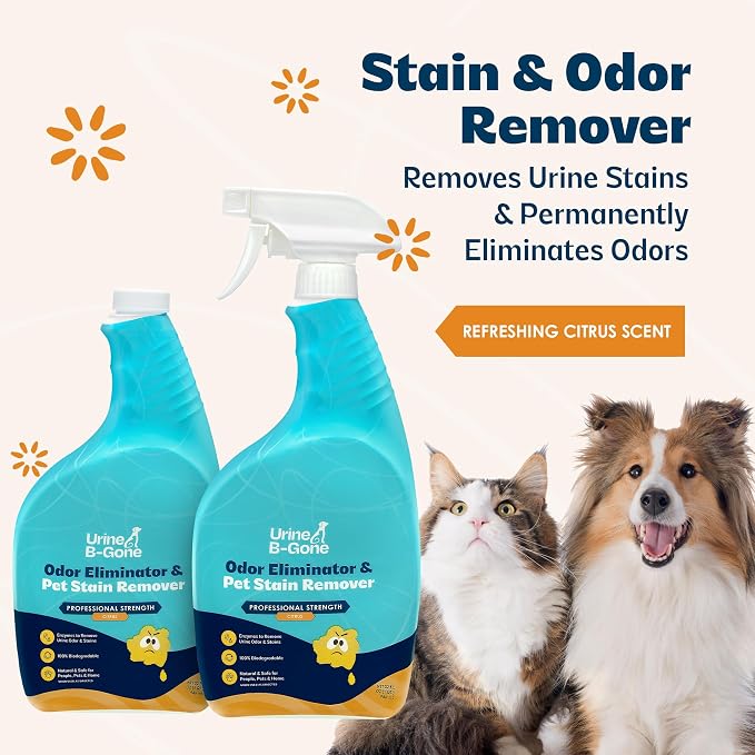 Urine B-Gone Enzyme Cleaner for Human & Pet Urine, Citrus, 32 oz, 2-Pack | Two 32 oz bottles of enzyme cleaner for human, cat and dog urine on laundry, carpets and more; citrus scent.