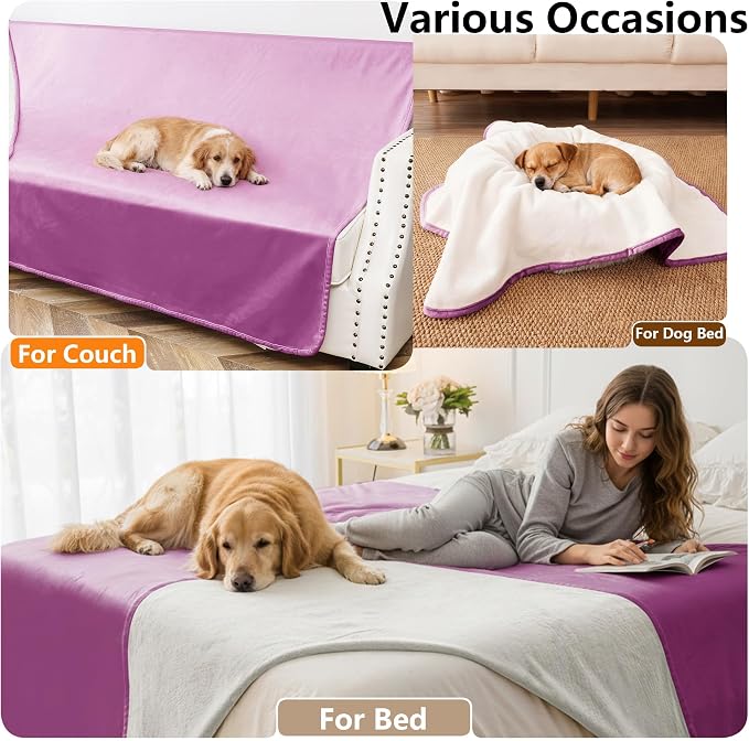 Waterproof Blanket - Reversible Dog Throw as Furniture Protector | Soft Velvet & Flannel, TPU Leak-Proof Liner, Machine Washable, Fits Couch and Bed, 68" x 82", Purple/Cream