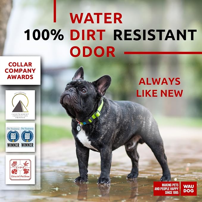 WAUDOG Waterproof Dog Collar Airtag Holder QR Tag Small Medium Large Dogs | Water and Dirt Resistant, Quick Dry QR Pet Tag Adjustable Durable Comfort for Male and Female Dogs Outdoor Walking Training