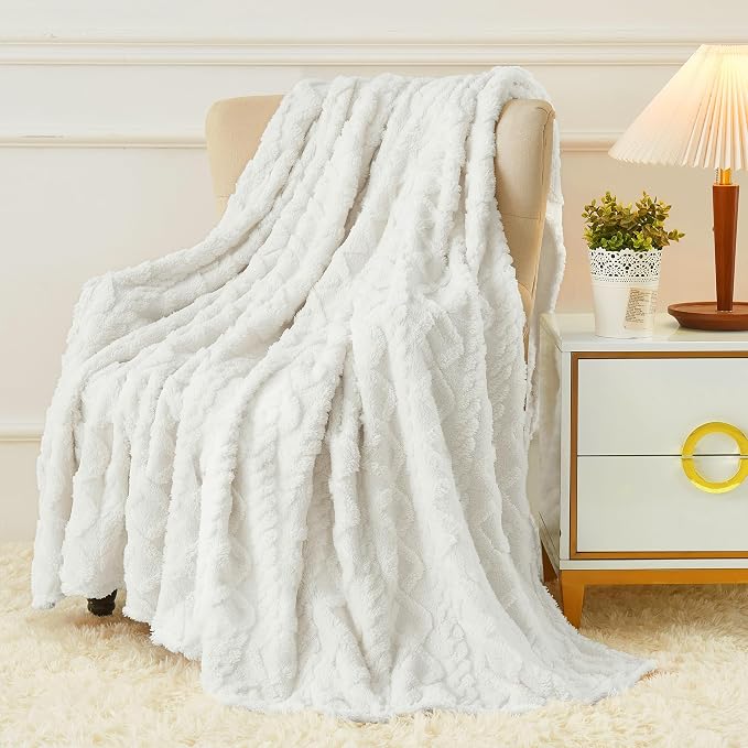 Aganear Fleece Throw Blanket for Couch Sofar 50"x60" White | Lightweight Fuzzy Throw,Warm Gift for Women,Christmas,Housewarming,Soft,Boho Design for Room Home Decor,All-Season Use