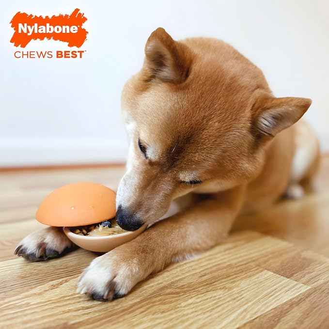 Nylabone Strong Chew Bun Treat Toy, Cheeseburger Flavor, Medium