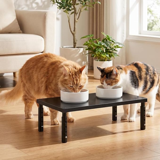 Adjustable Cat Food Stand, Elevated Cat Feeder Stand with 4 Height Settings, Automatic Cat Feeder & Tradition Bowls, Raised Pet Feeding Table Station for Cats & Small Dogs, Black 2-Pack