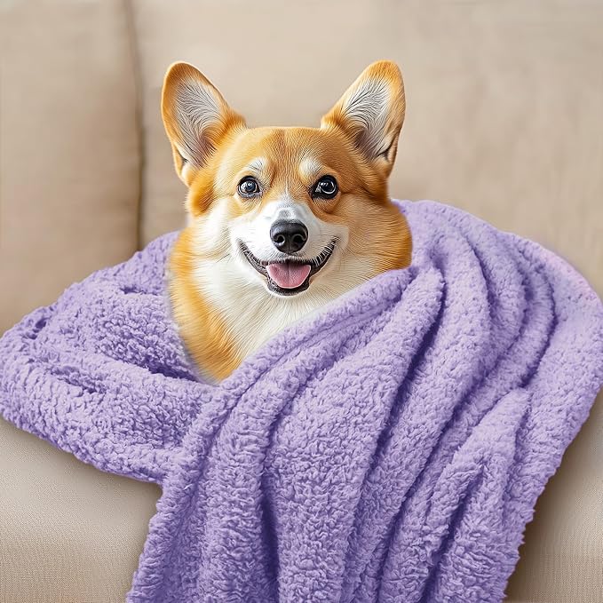 Luciphia 3 Pack Soft Sherpa Fleece Blankets for Dogs Cats Puppies,30"x20" | Fluffy Throw Blanket Washeble for Crate Bed Couch Indoor. Cozy Pet Blanket, Puppy Essentials Dog gift,Purple,Medium