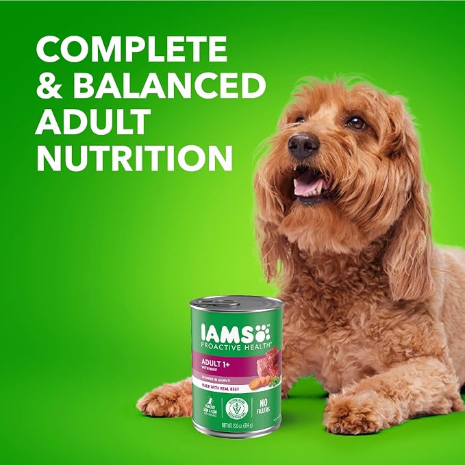Iams Proactive Health Wet Dog Food, Chicken Chunks in Gravy and Beef Chunks in Gravy, 13 oz., Pack of 24