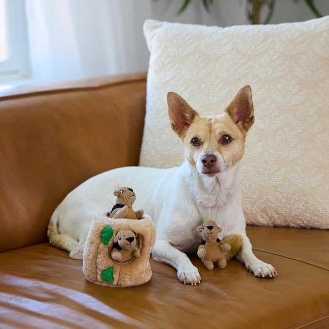 Outward Hound Hide-A-Squirrel Dog Toy – Interactive 2‑in‑1 Plush Puzzle with 3 Squeaky Removable Squirrels, Small (Pack of 12)