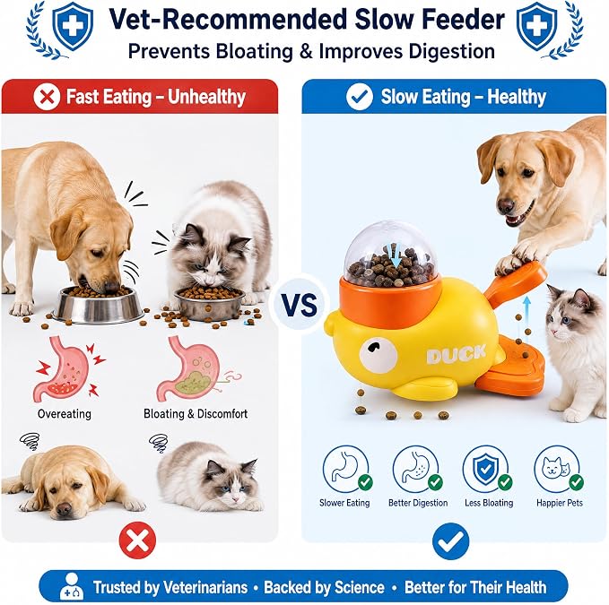 Dog Puzzle Toy Slow Feeder, Cat Treat Dispenser with Play Ball