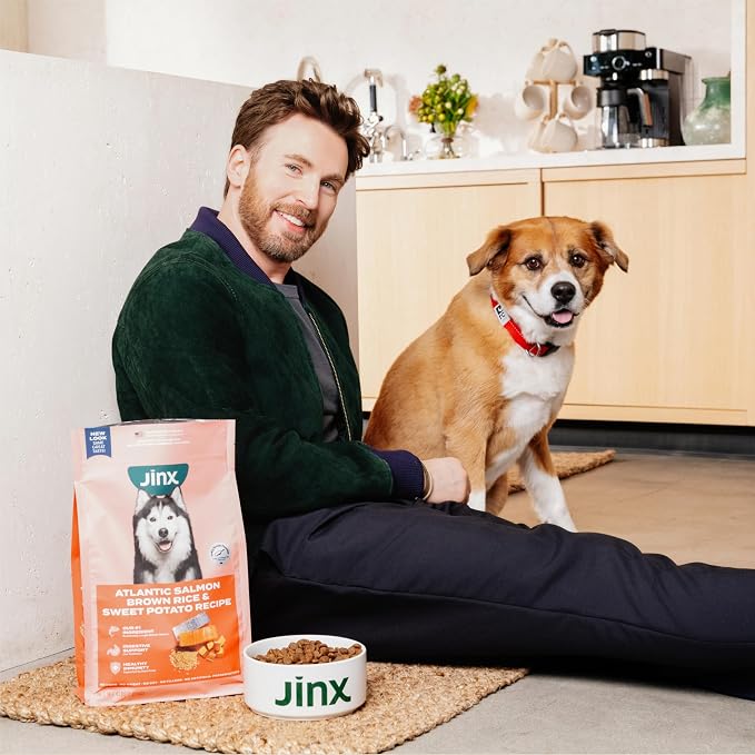 Jinx Dry Dog Food - Grass-Fed Beef, Brown Rice & Sweet Potato, 4lb | Premium Kibble for Digestive Support & Healthy Immunity - No Fillers, All Lifestages (Puppy, Adult & Senior), Breeds & Sizes