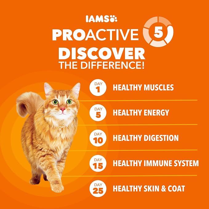 IAMS Proactive Health Healthy Adult Dry Cat Food, Chicken, 22 lb | Veterinarian-recommended, Real chicken #1 ingredient, chicken & egg protein, wholesome grains for energy, supports muscles