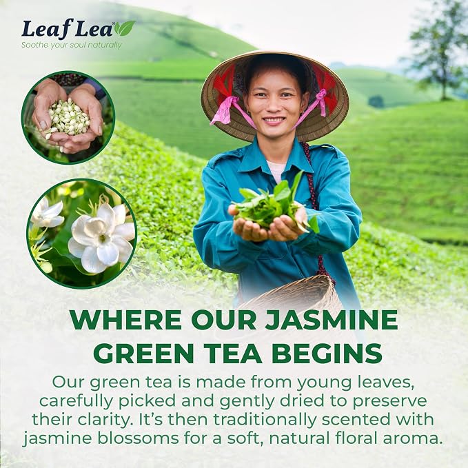 LeafLea Jasmine Green Tea Bags, Light Focus & Daily Balance, 80 Count | Green Tea Naturally Scented With Jasmine, Delicate Floral Taste, Caffeinated, Sugar-Free, Vegan, Individually Wrapped